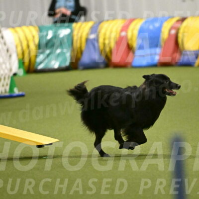 Okos-Stacie-Rosenburg-04306