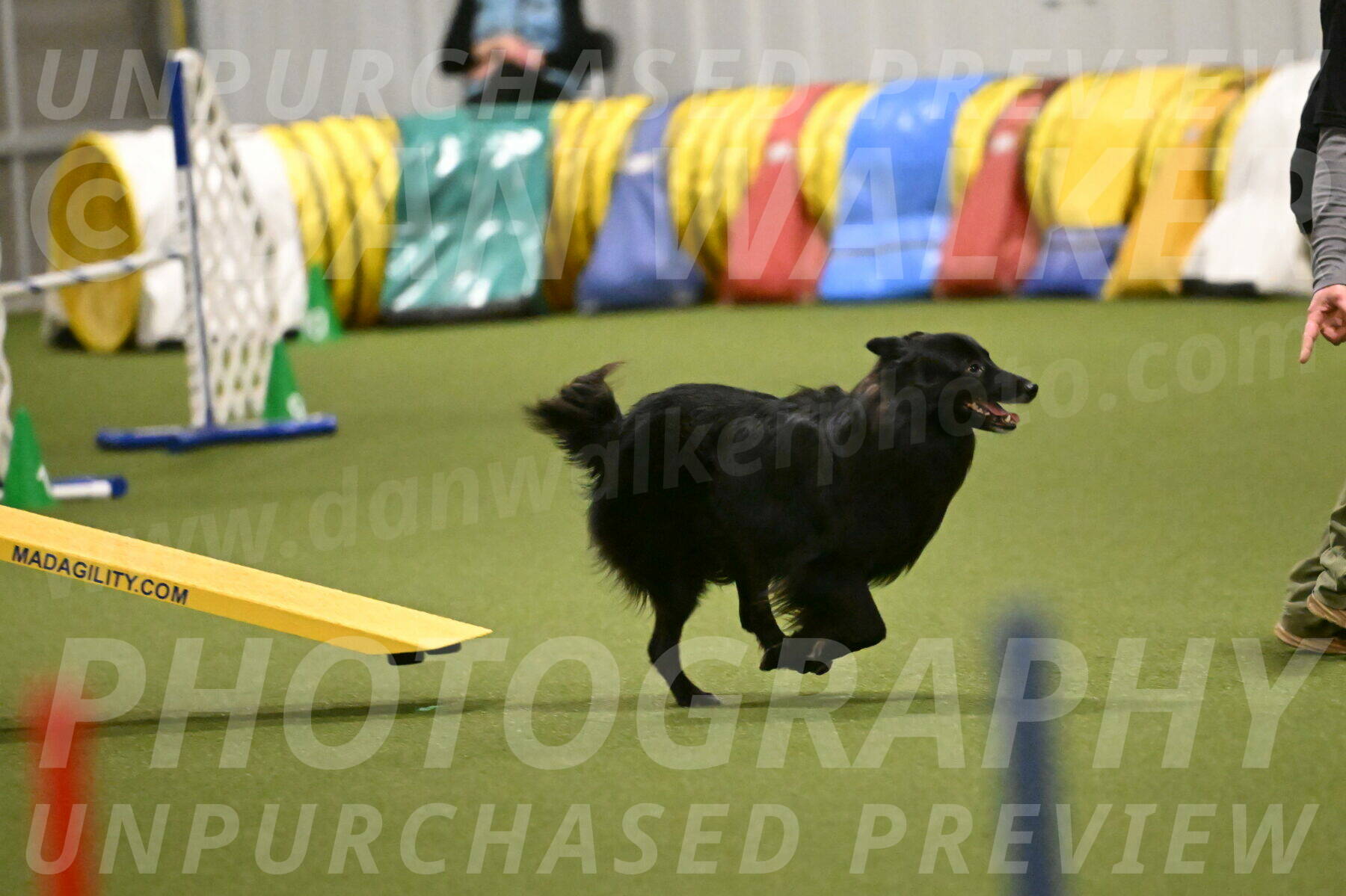 Okos-Stacie-Rosenburg-04306