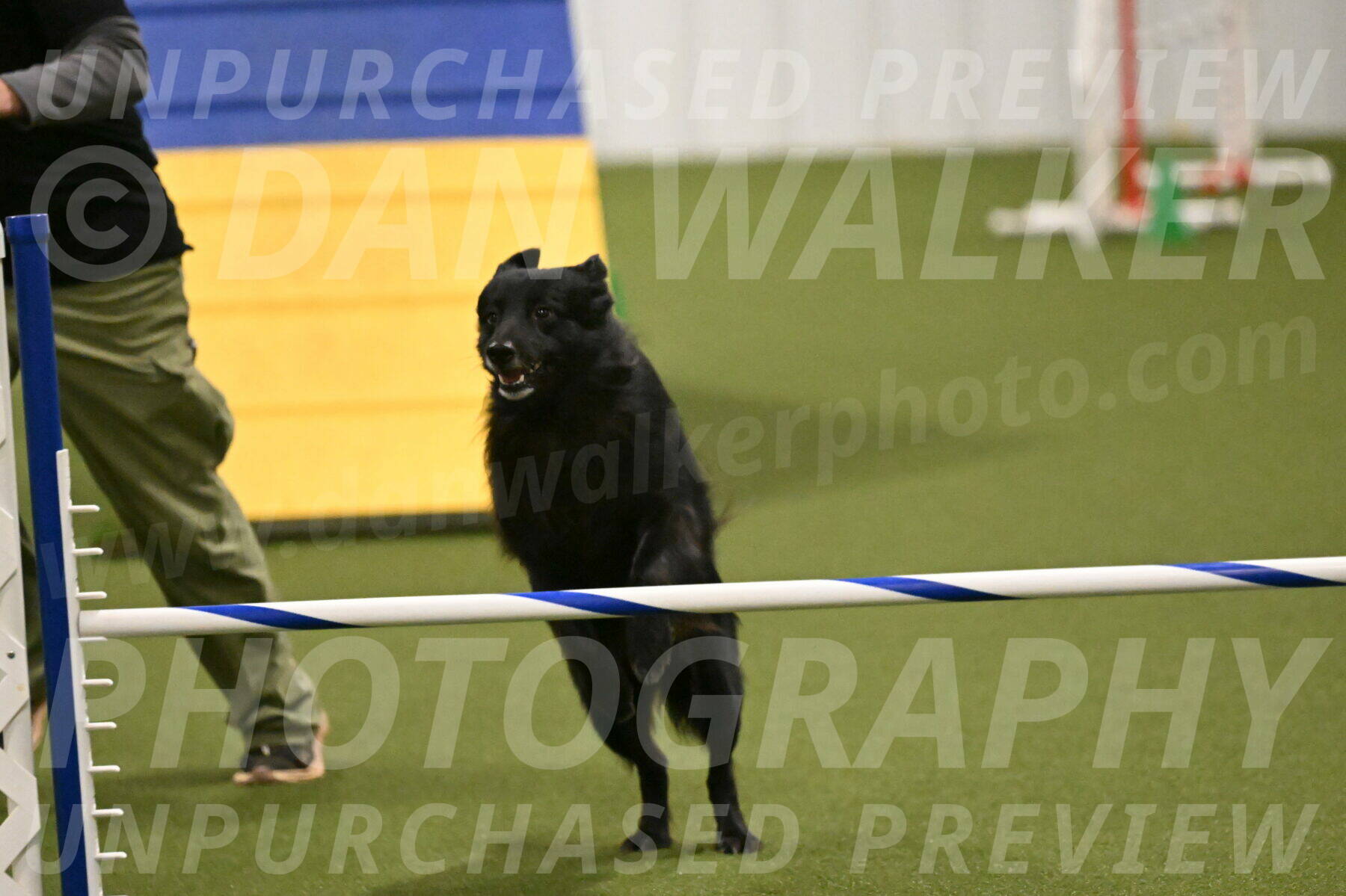 Okos-Stacie-Rosenburg-04307