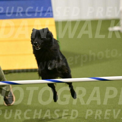 Okos-Stacie-Rosenburg-04308