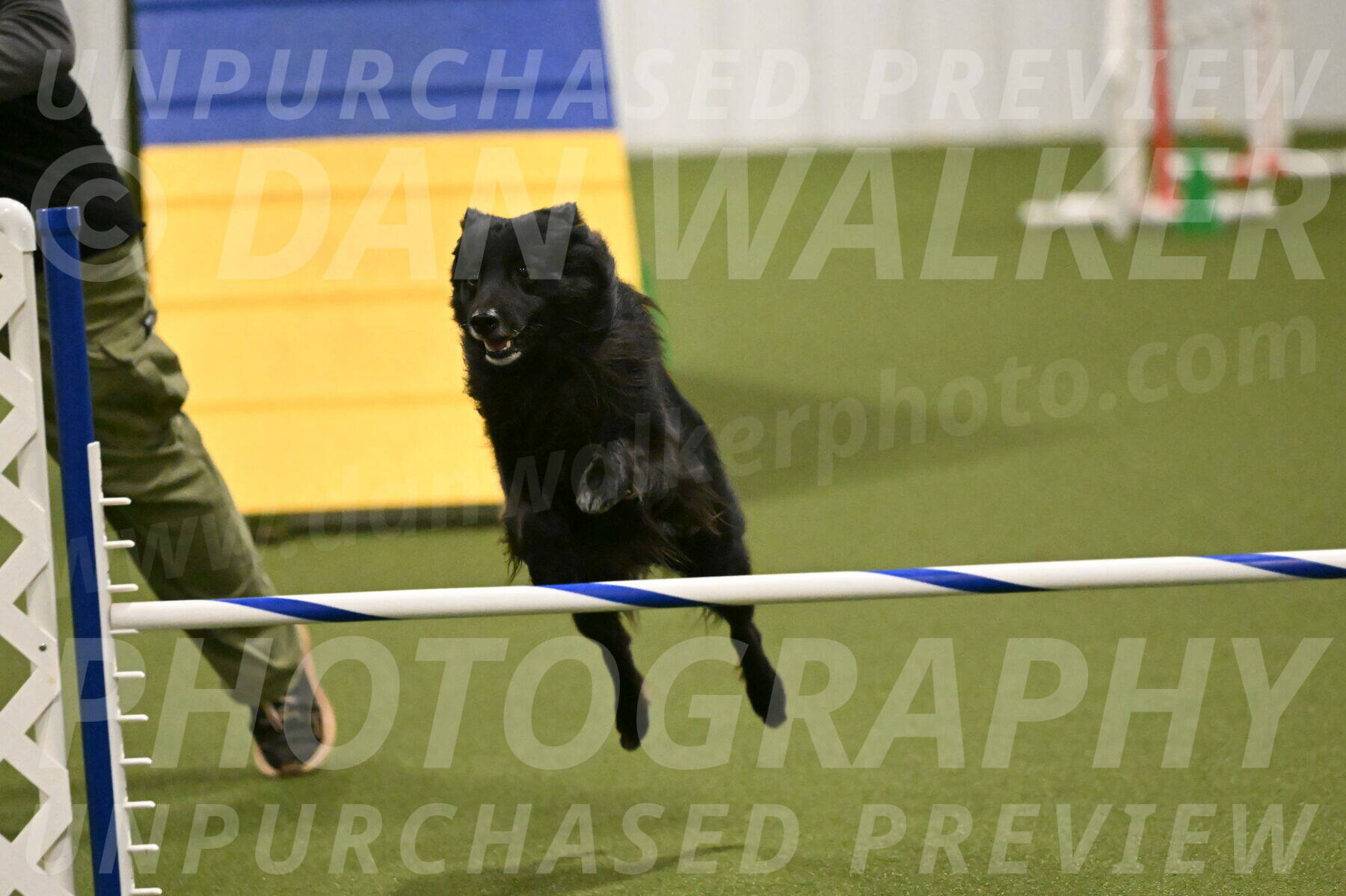 Okos-Stacie-Rosenburg-04308