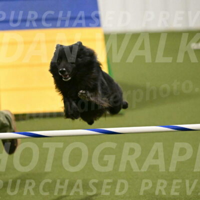 Okos-Stacie-Rosenburg-04309