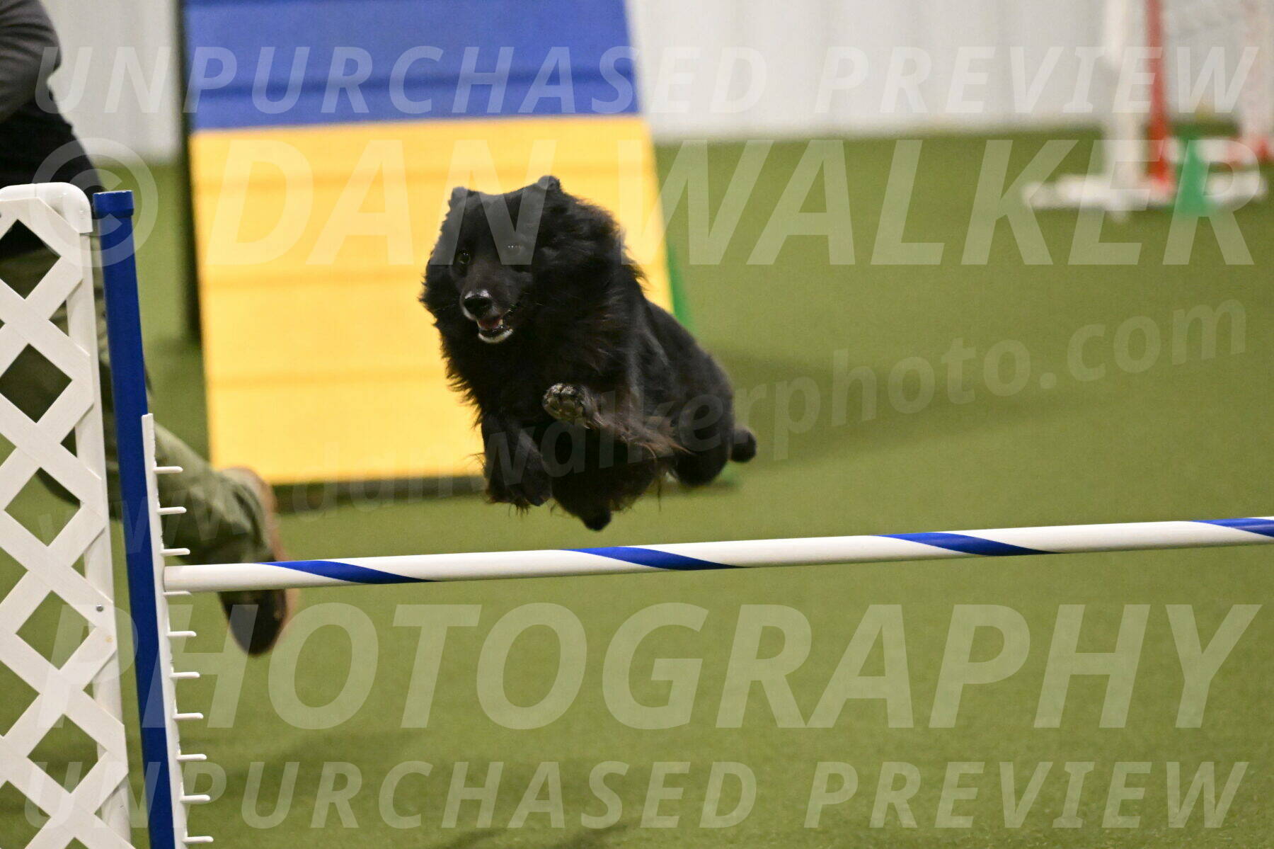 Okos-Stacie-Rosenburg-04309