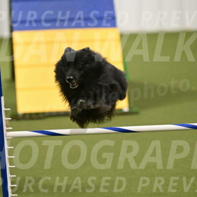 Okos-Stacie-Rosenburg-04310