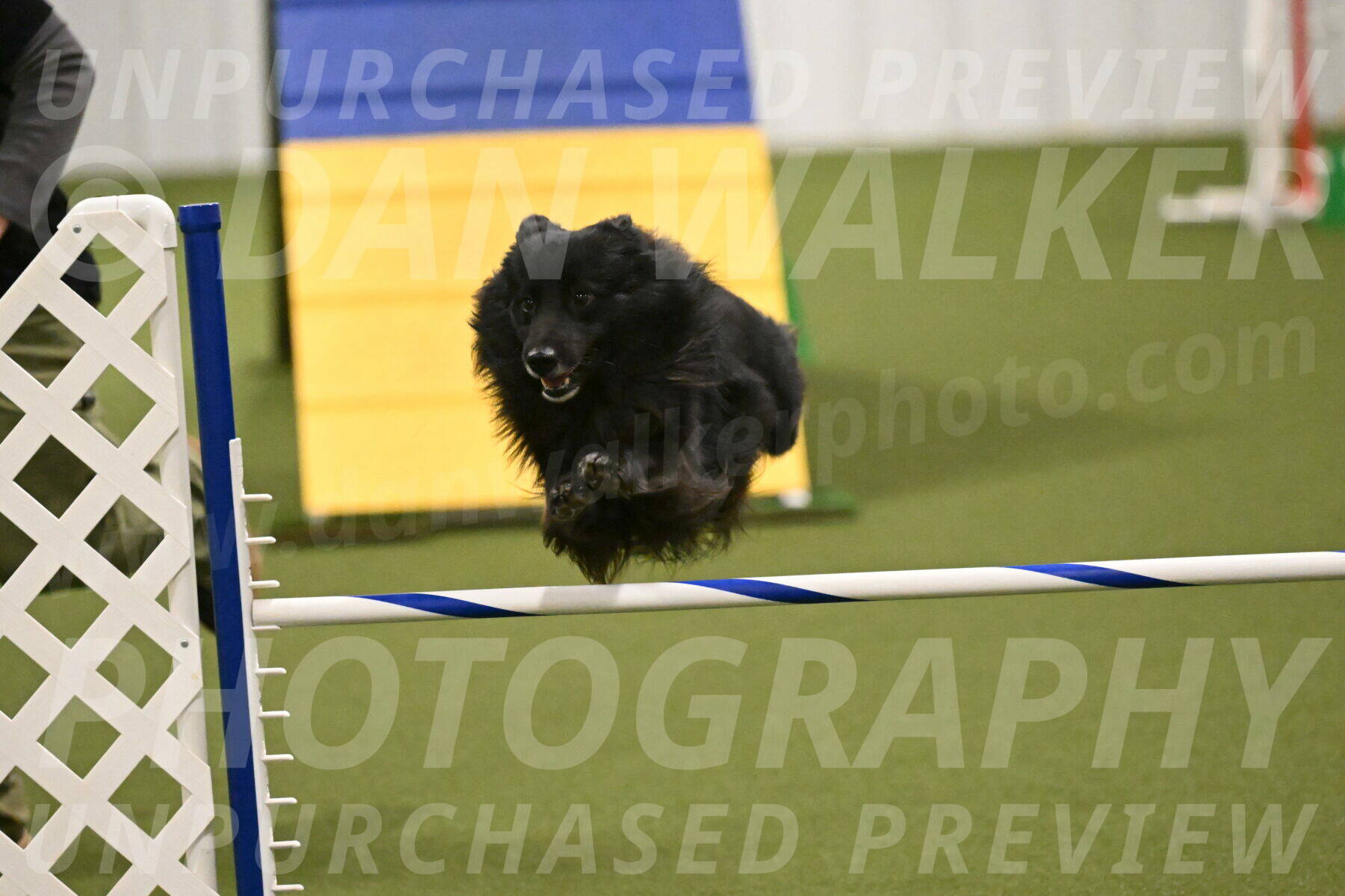 Okos-Stacie-Rosenburg-04310