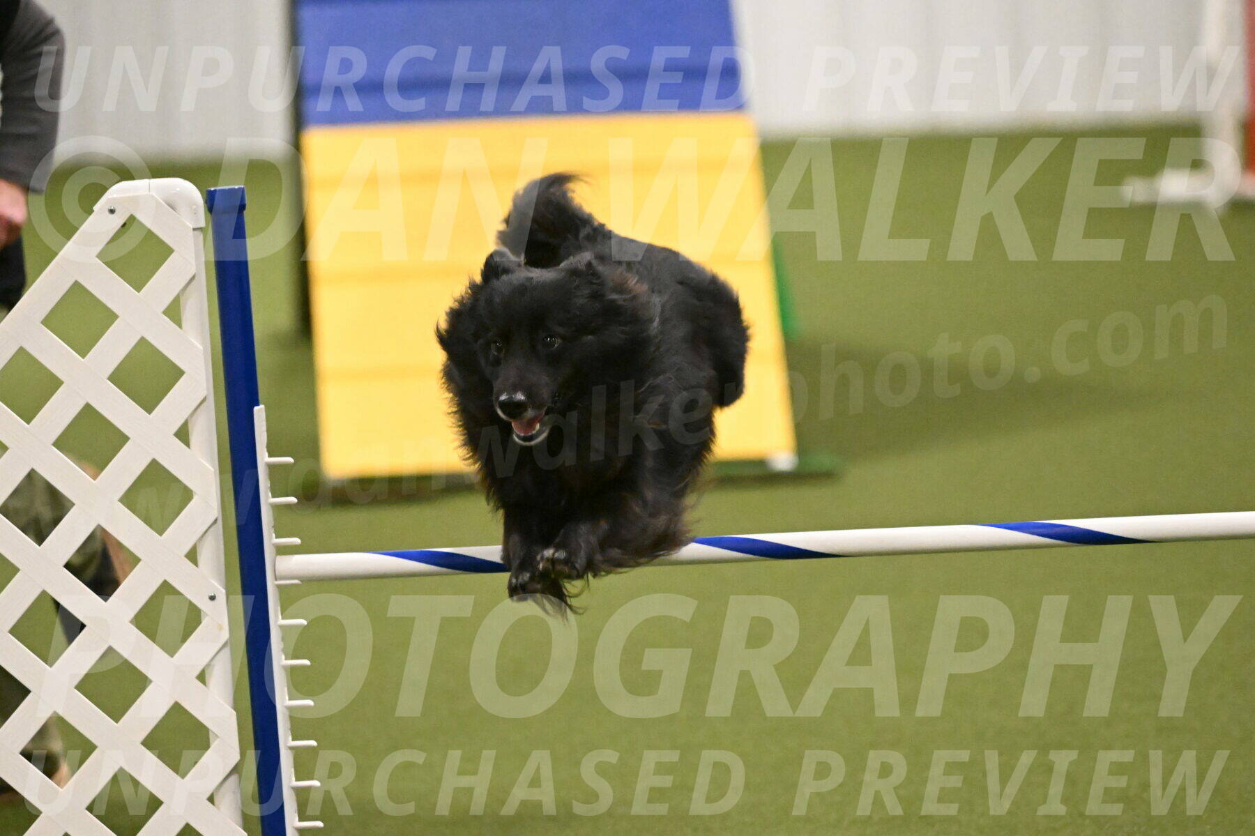 Okos-Stacie-Rosenburg-04311