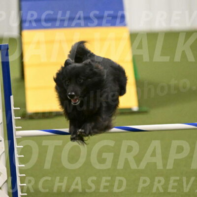 Okos-Stacie-Rosenburg-04311