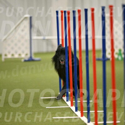 Okos-Stacie-Rosenburg-04312