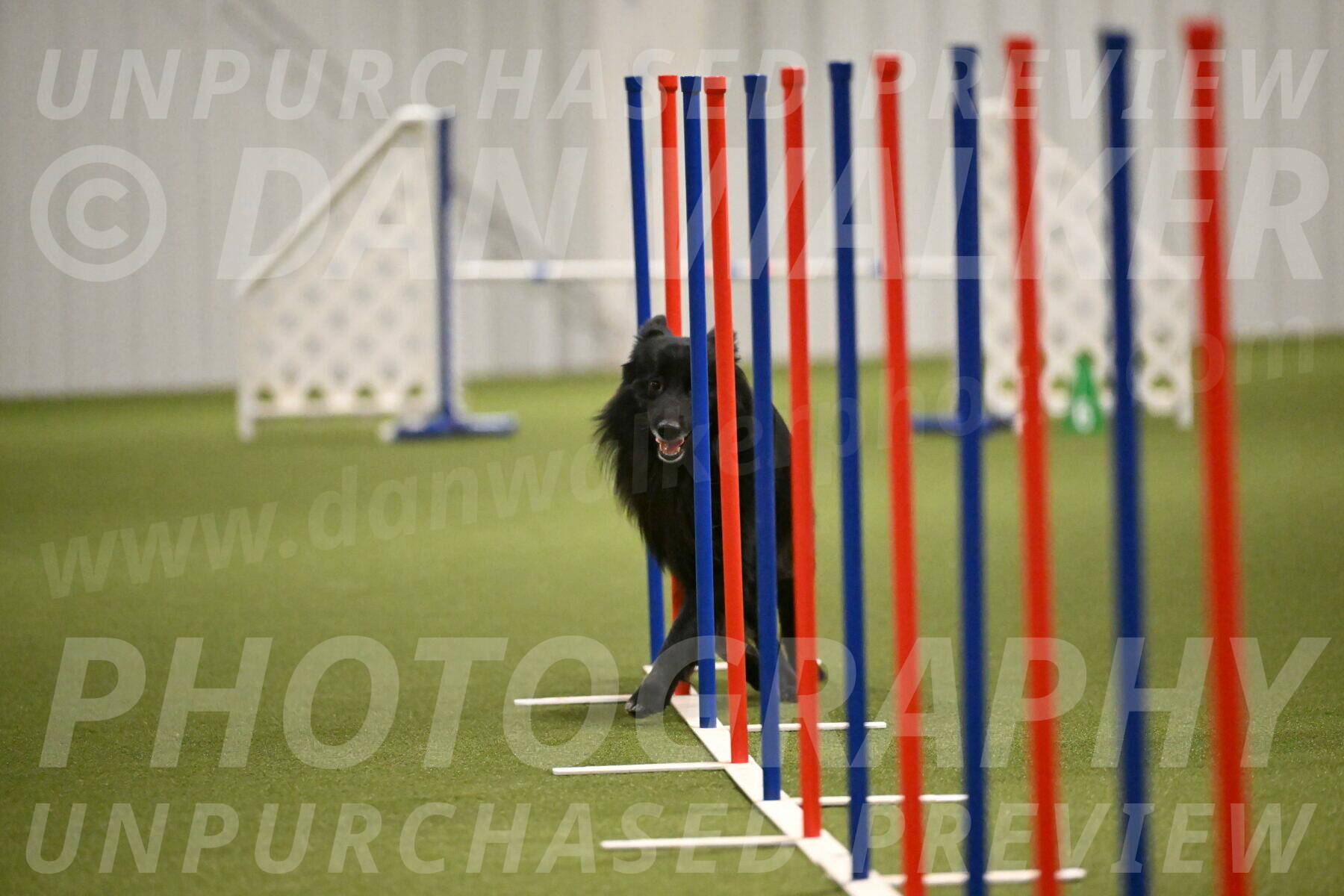 Okos-Stacie-Rosenburg-04312