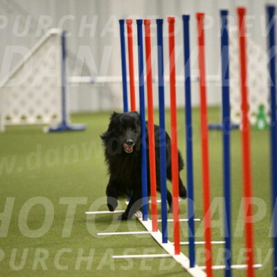 Okos-Stacie-Rosenburg-04313