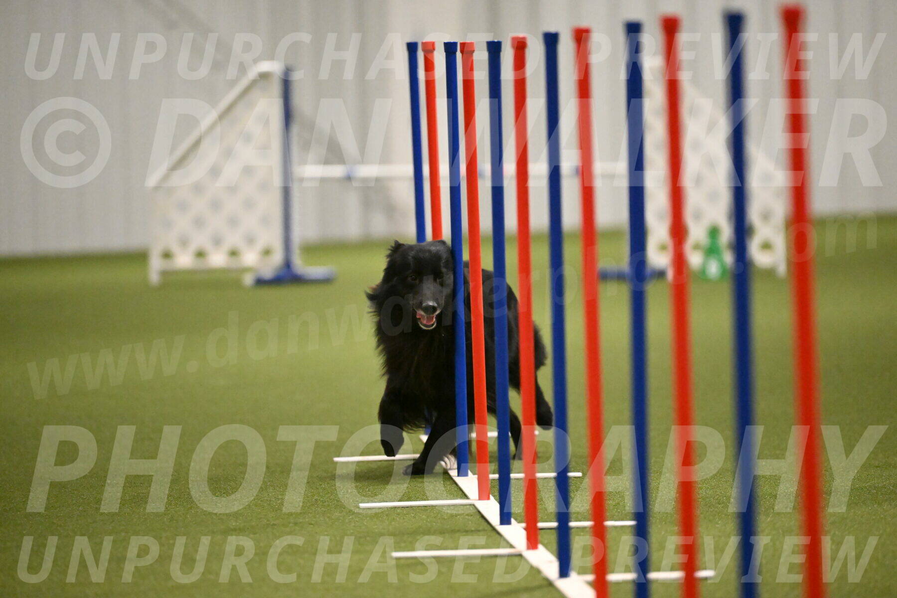 Okos-Stacie-Rosenburg-04313