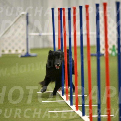 Okos-Stacie-Rosenburg-04314