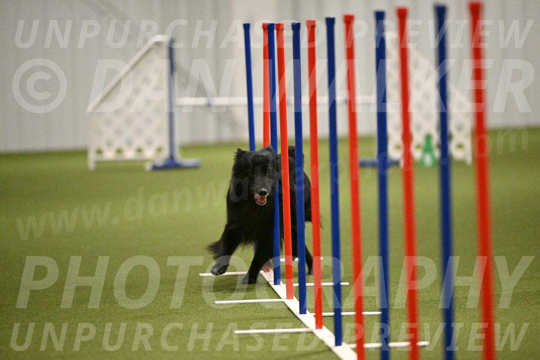 Okos-Stacie-Rosenburg-04314