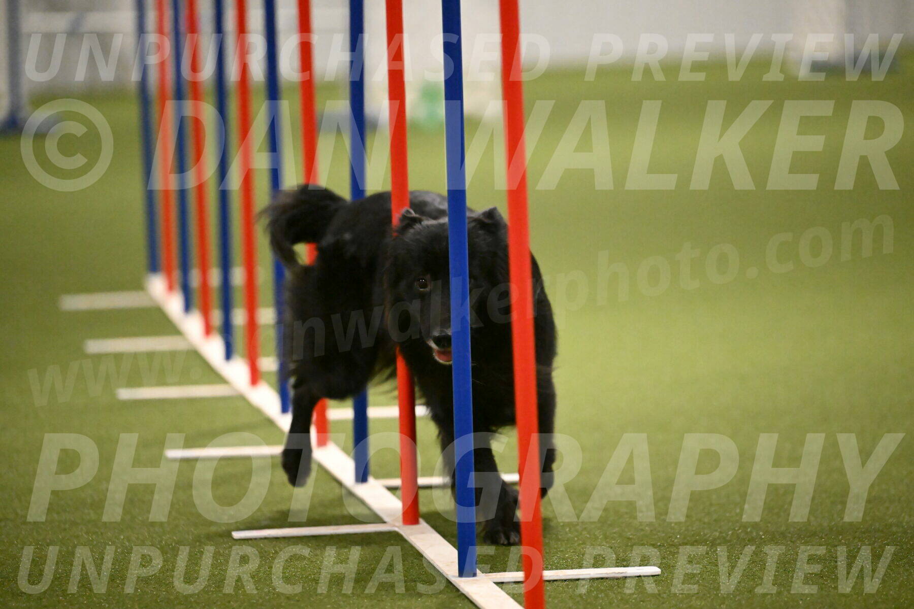 Okos-Stacie-Rosenburg-04315