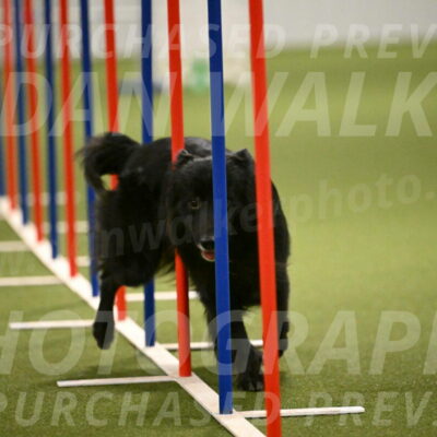 Okos-Stacie-Rosenburg-04315