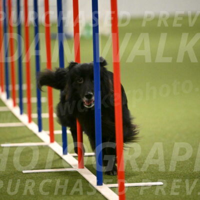 Okos-Stacie-Rosenburg-04316