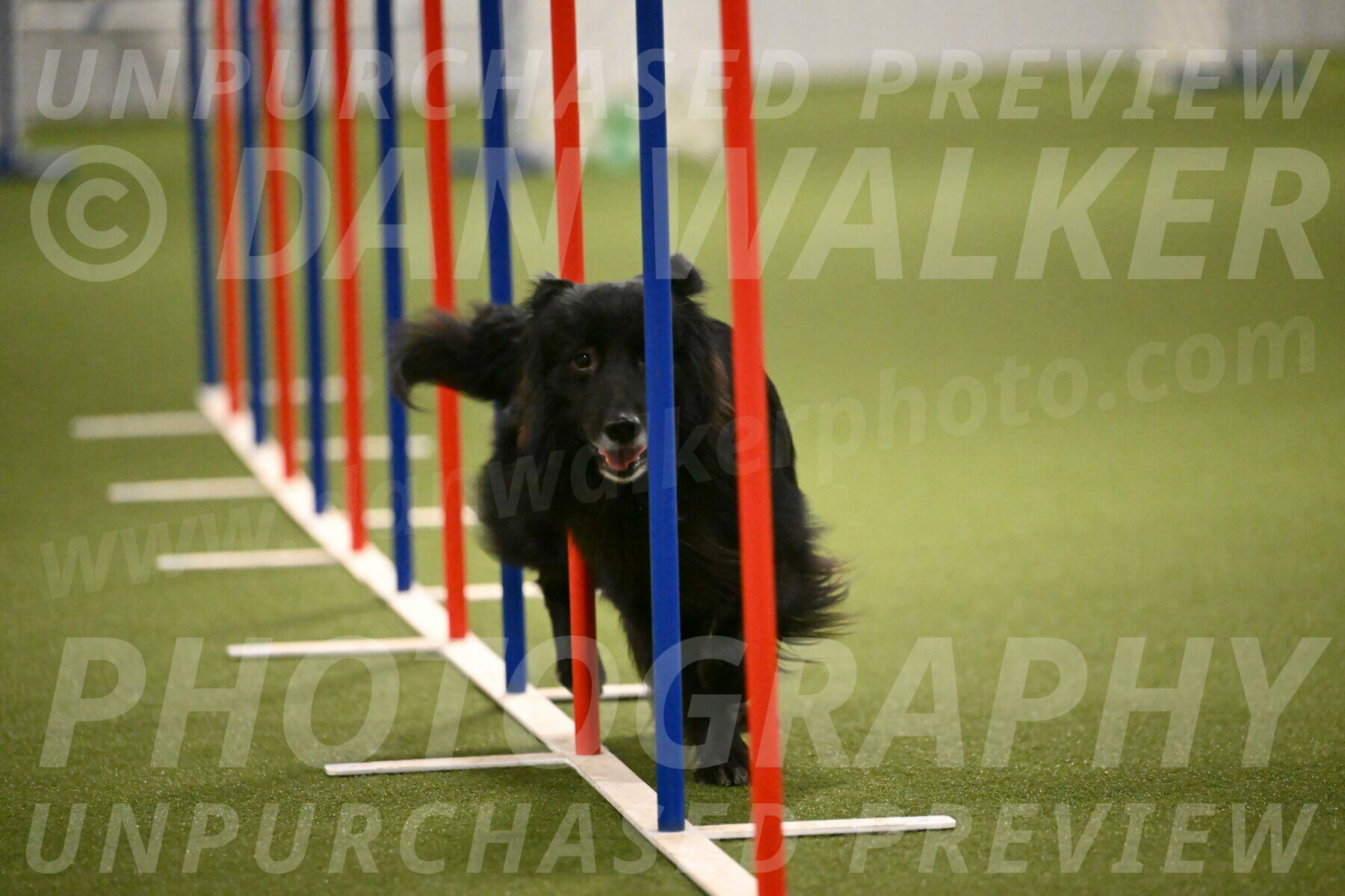 Okos-Stacie-Rosenburg-04316