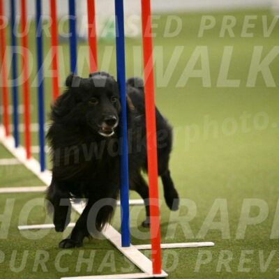 Okos-Stacie-Rosenburg-04317