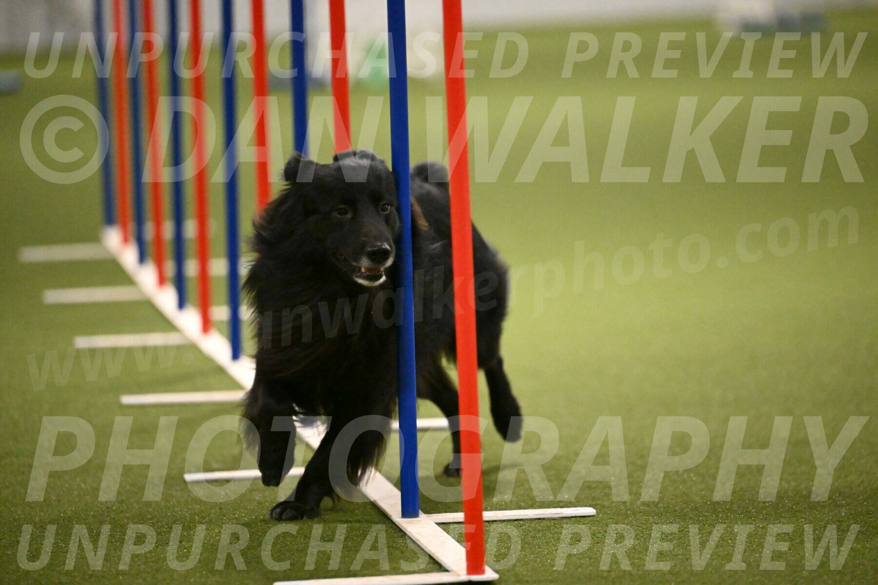 Okos-Stacie-Rosenburg-04317