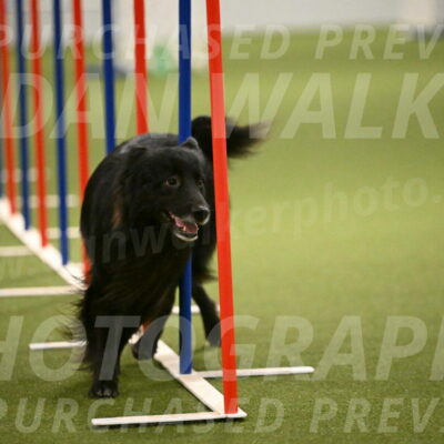 Okos-Stacie-Rosenburg-04318