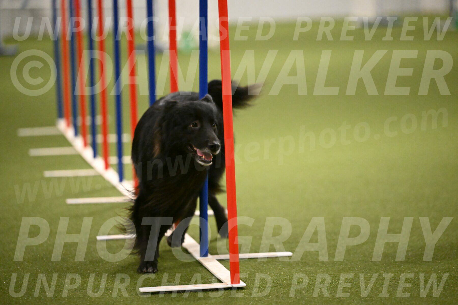 Okos-Stacie-Rosenburg-04318