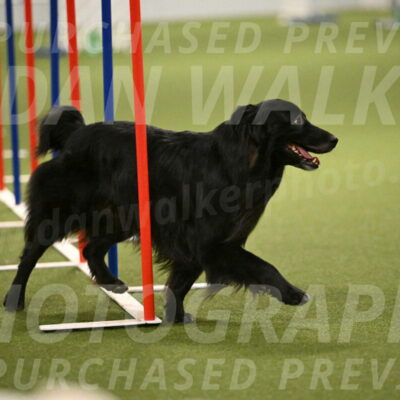 Okos-Stacie-Rosenburg-04319