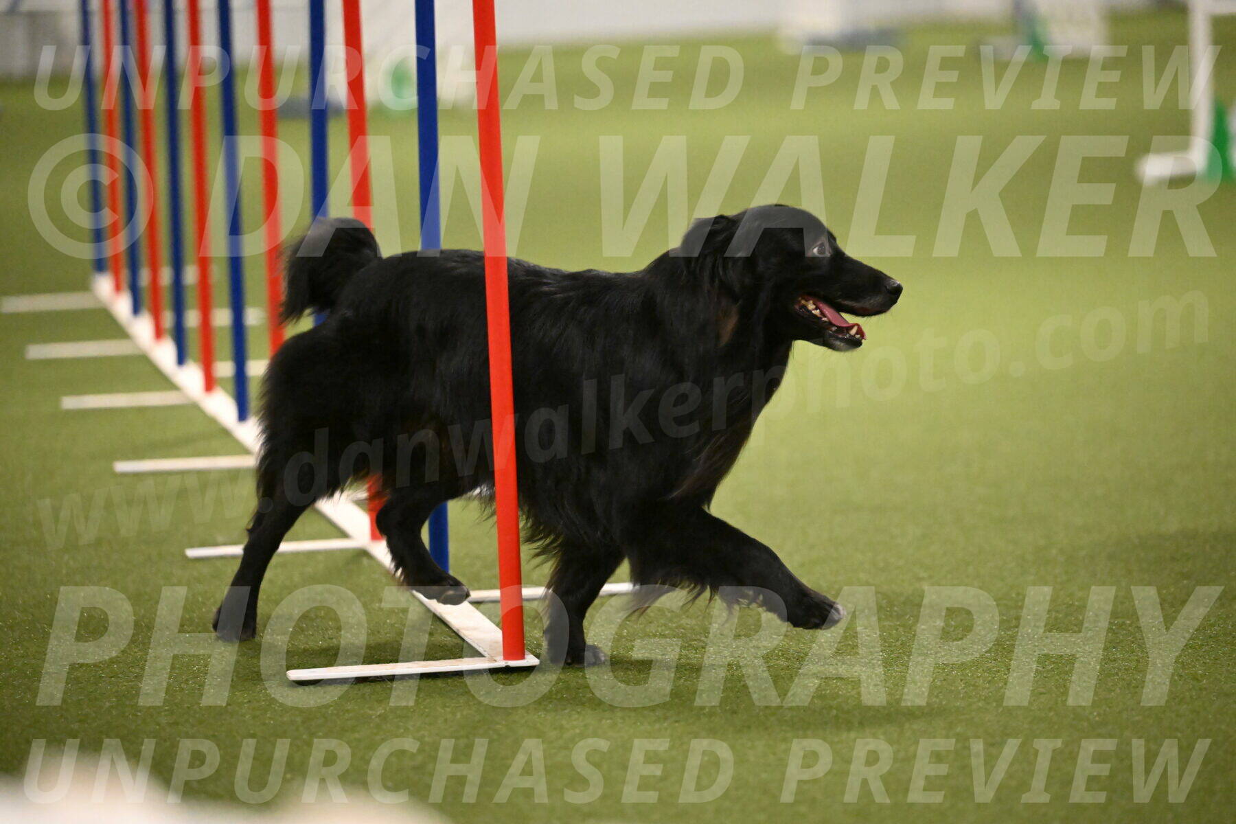 Okos-Stacie-Rosenburg-04319