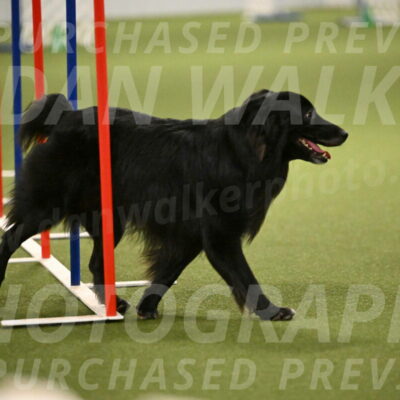 Okos-Stacie-Rosenburg-04320