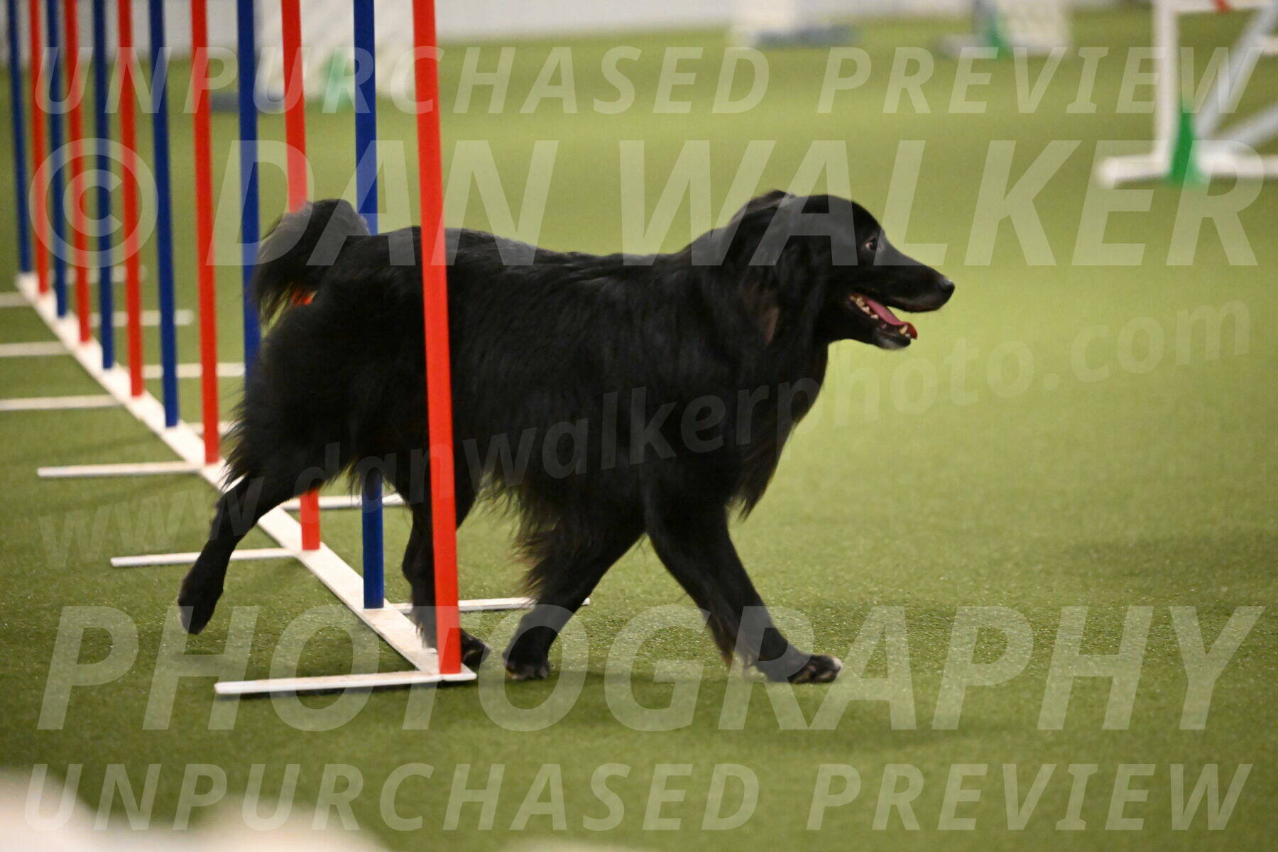 Okos-Stacie-Rosenburg-04320