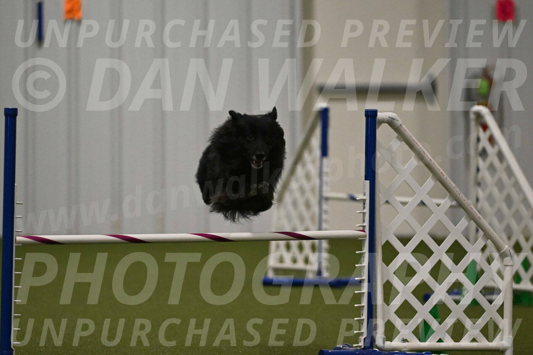 Okos-Stacie-Rosenburg-04321