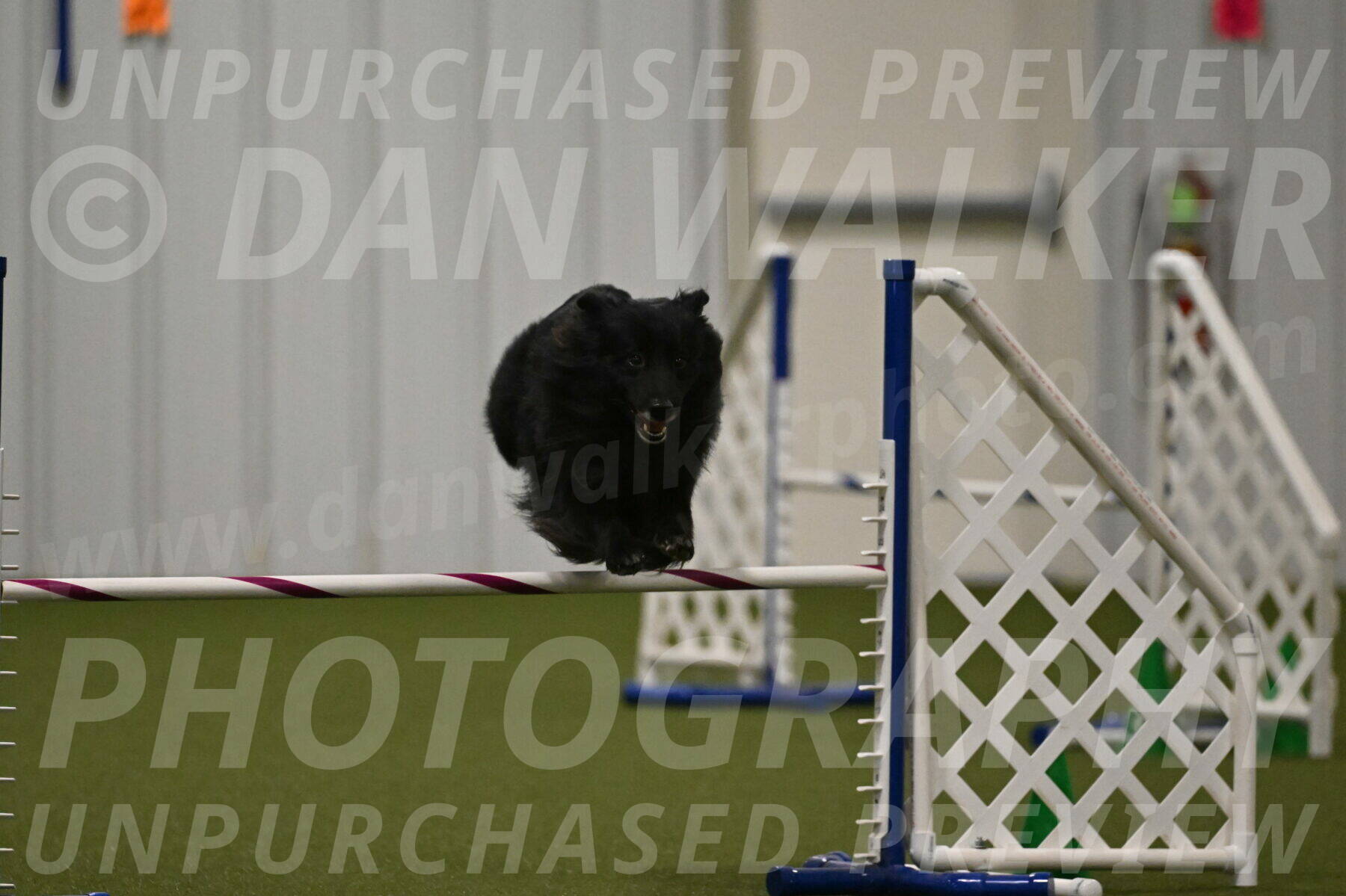 Okos-Stacie-Rosenburg-04322