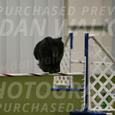 Okos-Stacie-Rosenburg-04322