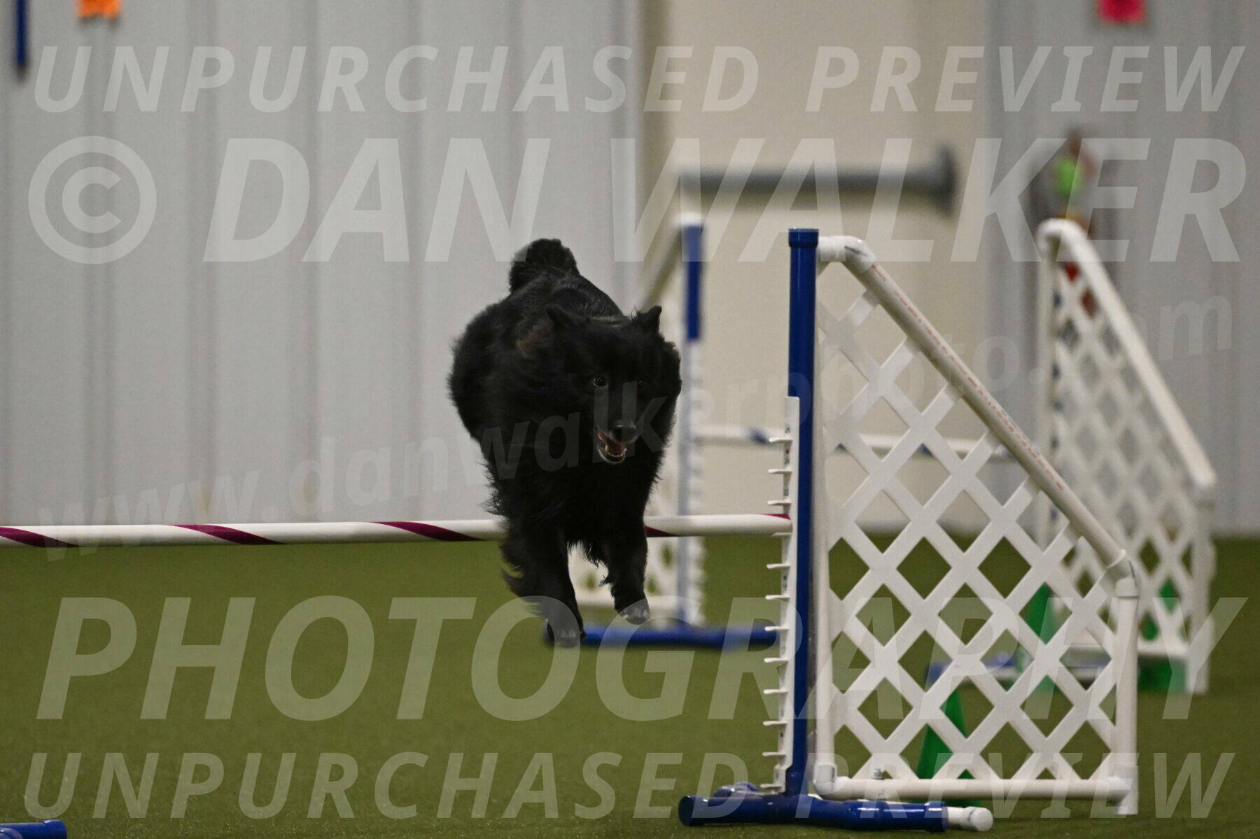 Okos-Stacie-Rosenburg-04323