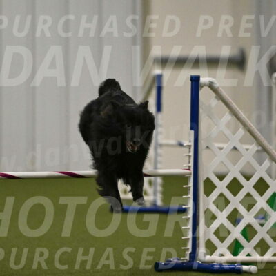 Okos-Stacie-Rosenburg-04323