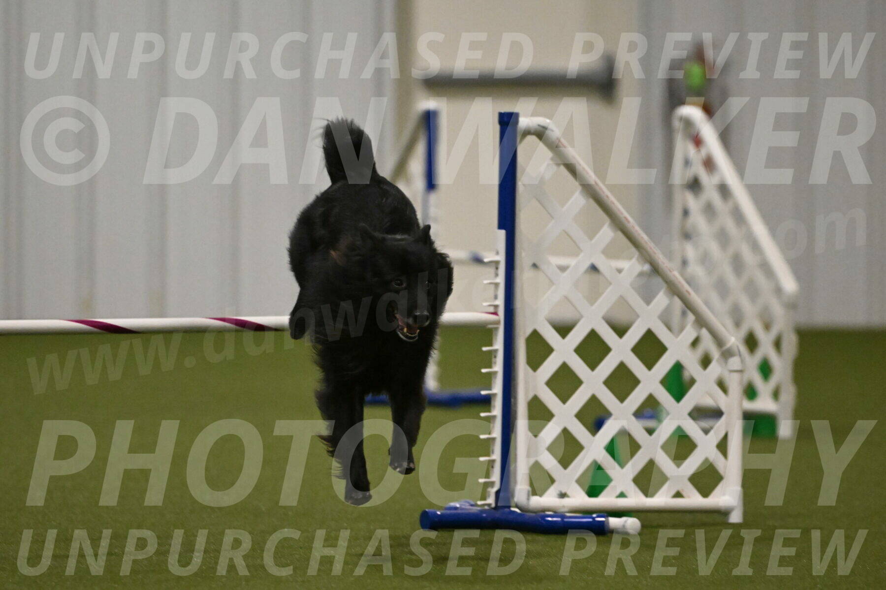 Okos-Stacie-Rosenburg-04324