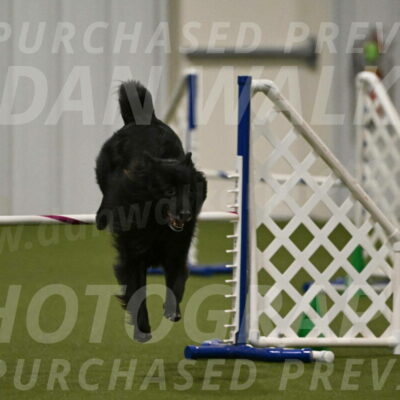 Okos-Stacie-Rosenburg-04324