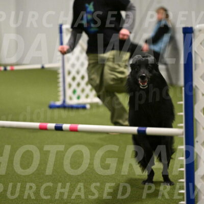 Okos-Stacie-Rosenburg-04325