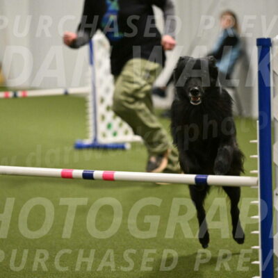 Okos-Stacie-Rosenburg-04326