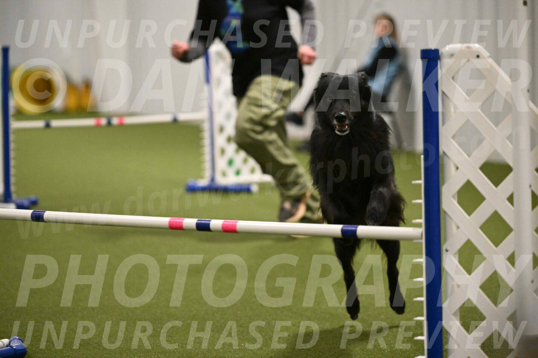 Okos-Stacie-Rosenburg-04326