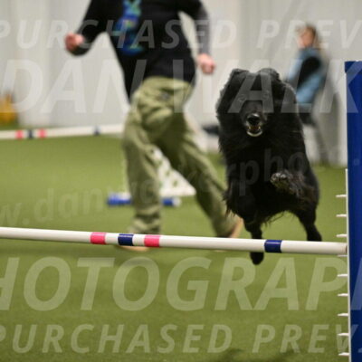 Okos-Stacie-Rosenburg-04327