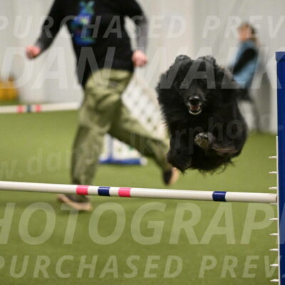 Okos-Stacie-Rosenburg-04328