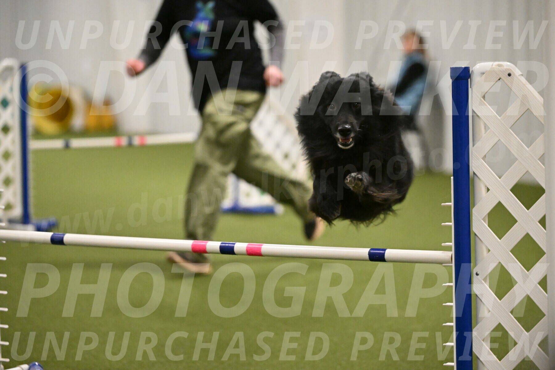 Okos-Stacie-Rosenburg-04328