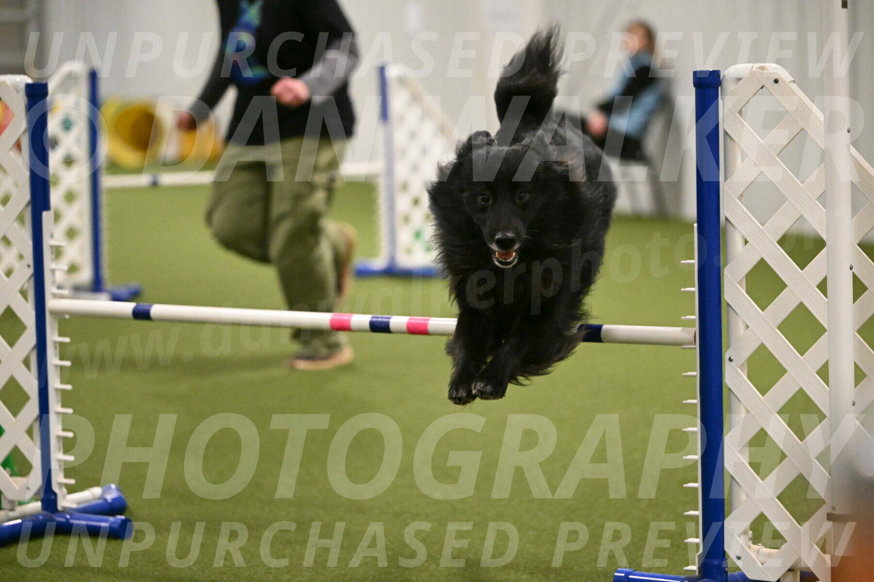 Okos-Stacie-Rosenburg-04330