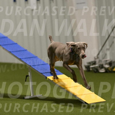 Opie-Roseanne-Brown-05041