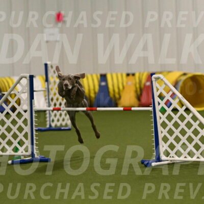 Opie-Roseanne-Brown-05051