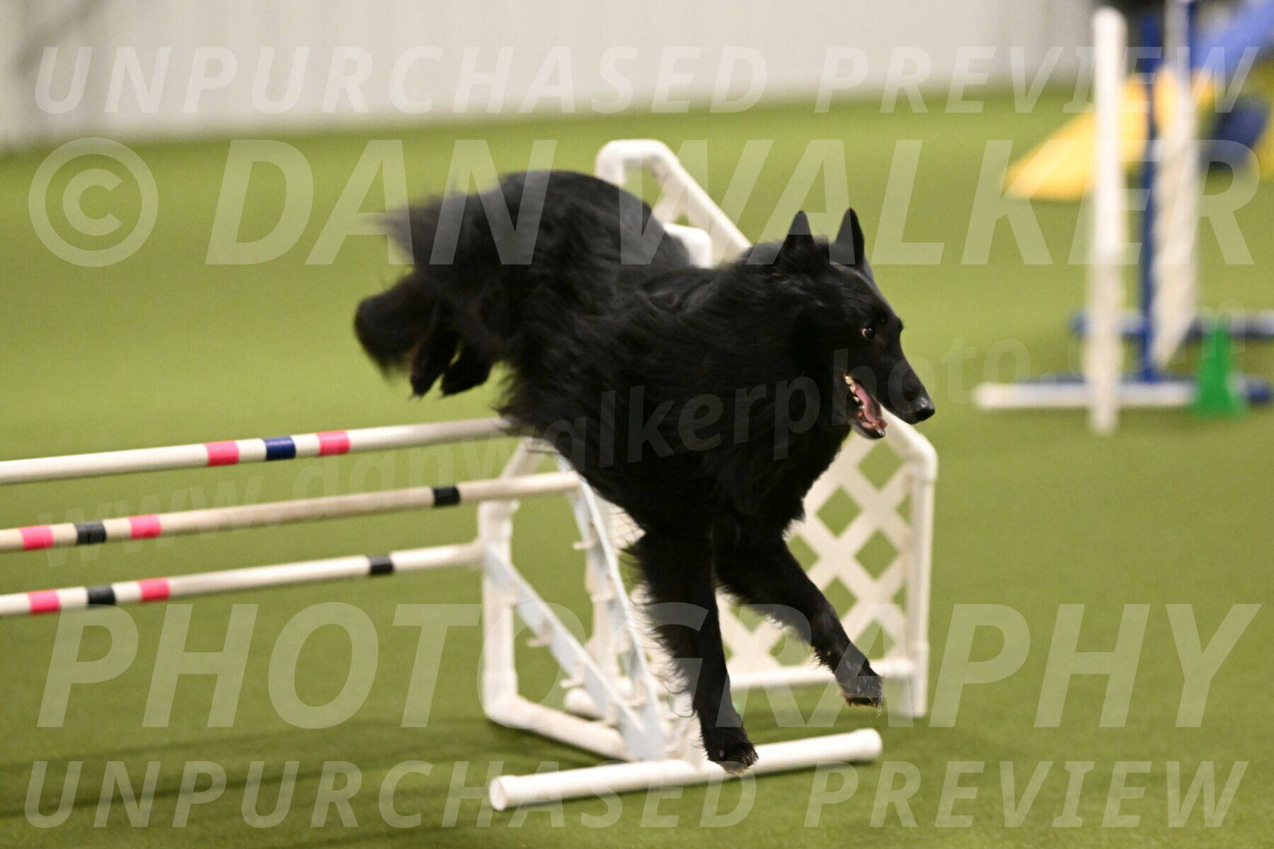 Oscar-Martha-Caldwell-04896