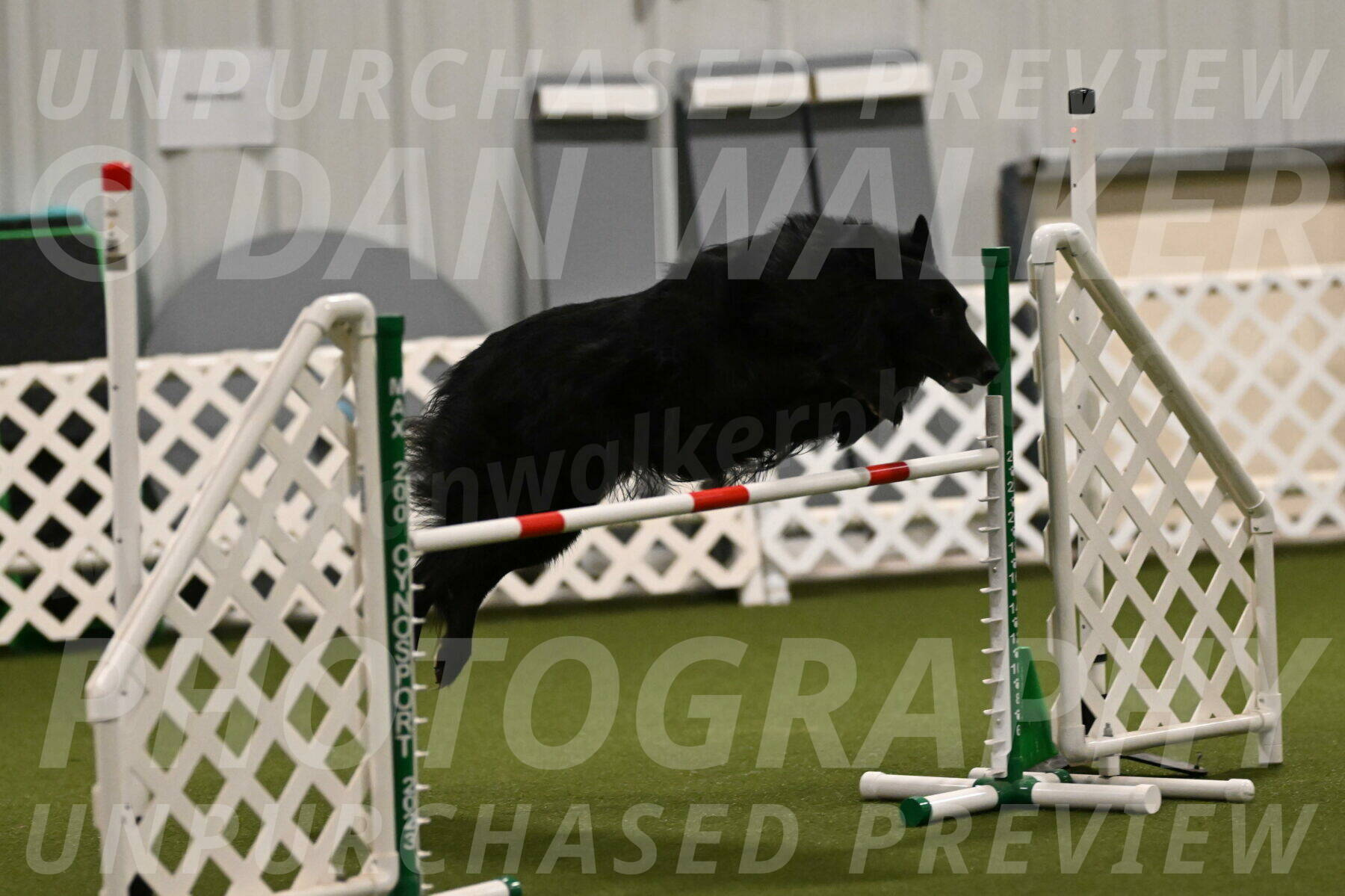 Oscar-Martha-Caldwell-04928
