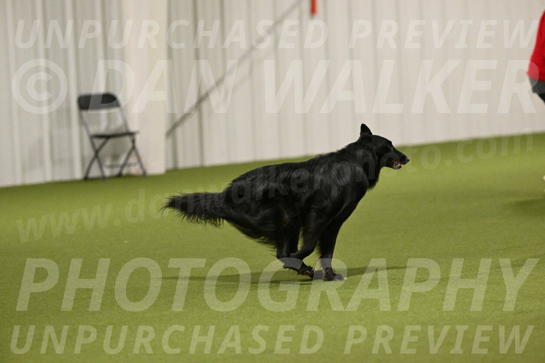 Oscar-Martha-Caldwell-04932