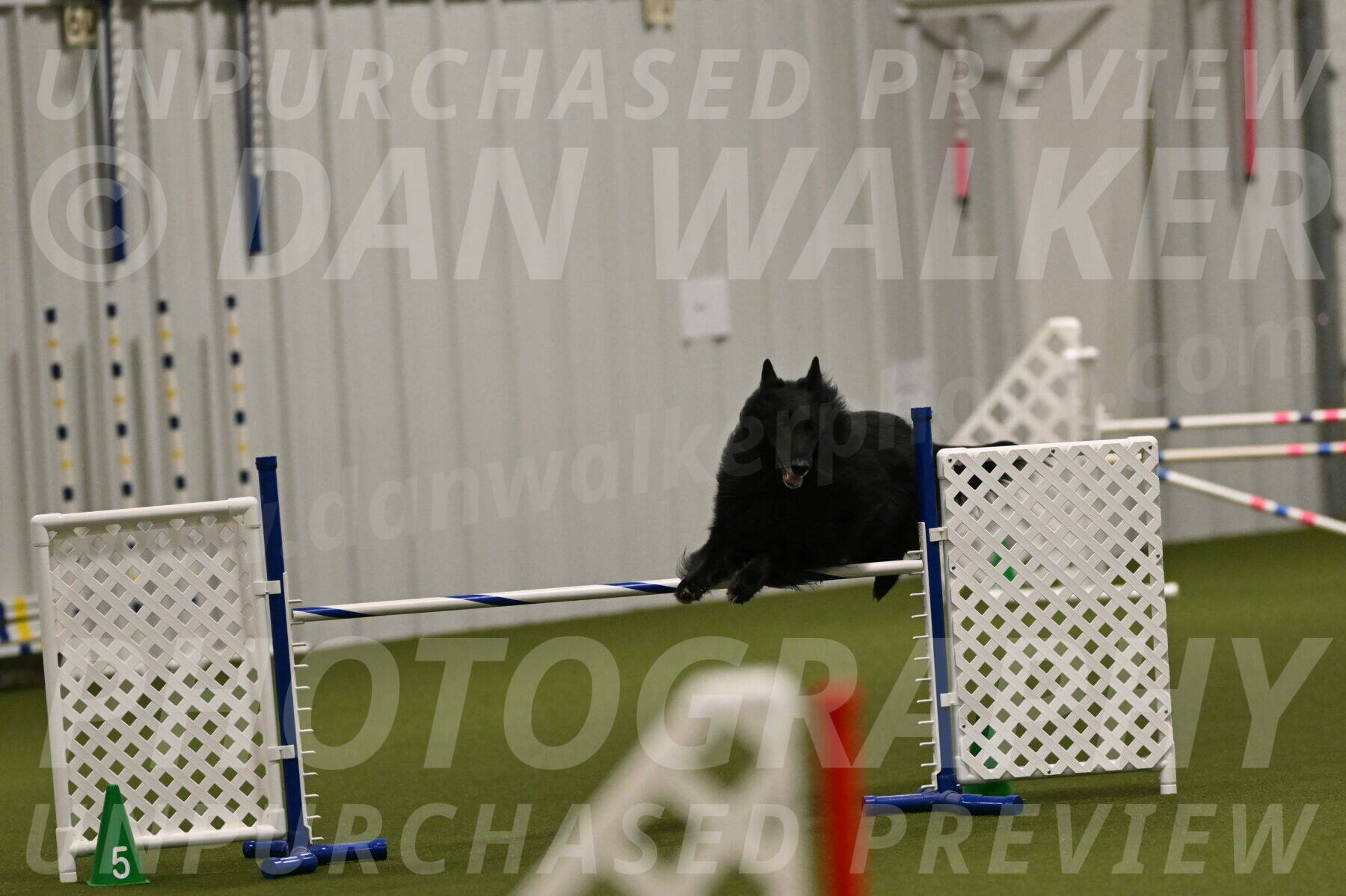 Oscar-Martha-Caldwell-04937