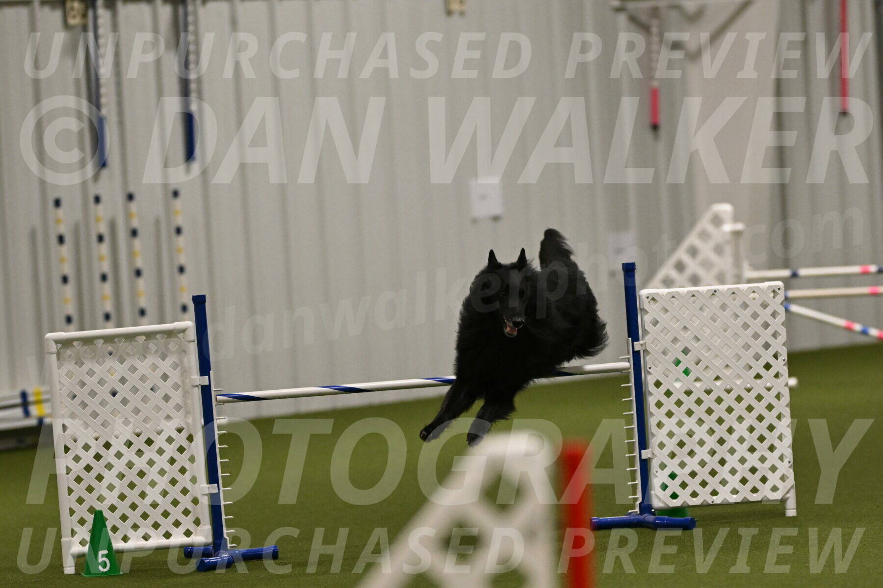 Oscar-Martha-Caldwell-04938